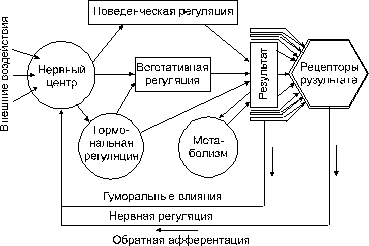 Схема центральной организации поведенческой реакции по анохину